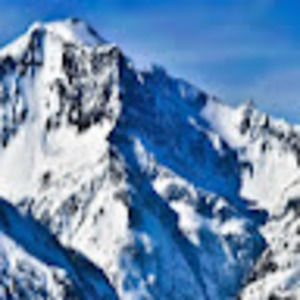 Meet your Posher, Silas